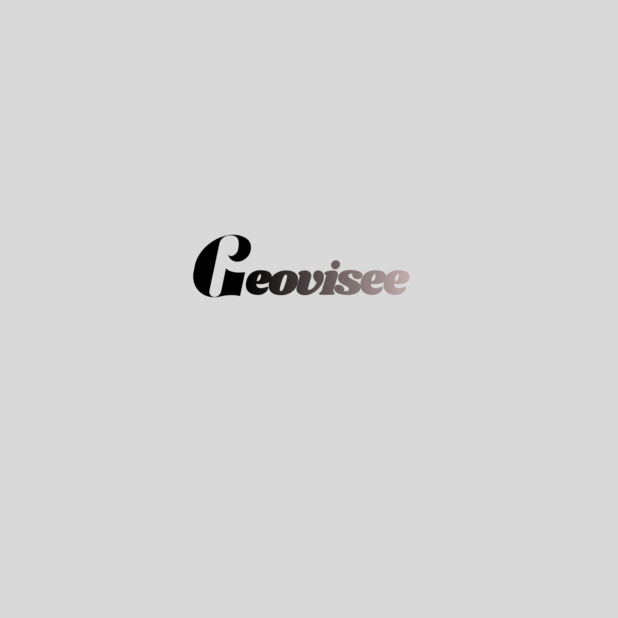 Geovise